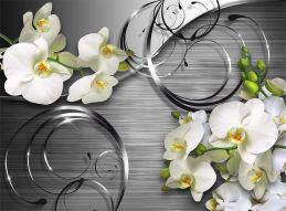 Фреска 3д Белые орхидеи